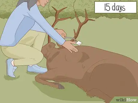 Image titled Get a Hunting License Step 13