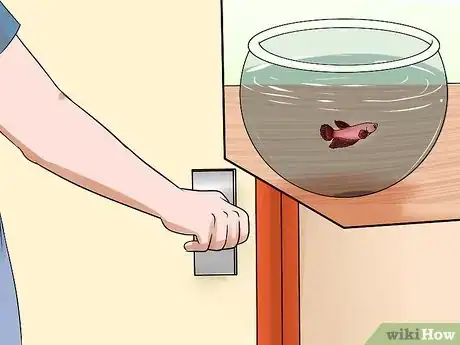 Image titled Keep Fish when You Have Cats That Like to Hunt Step 13