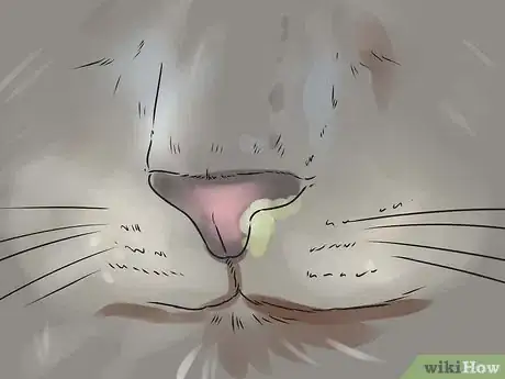 Image titled Help Your Cat Breathe Easier Step 3