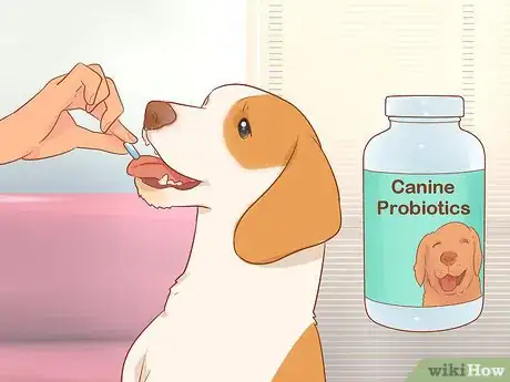 Image titled Cure a Dog's Bad Breath Step 10