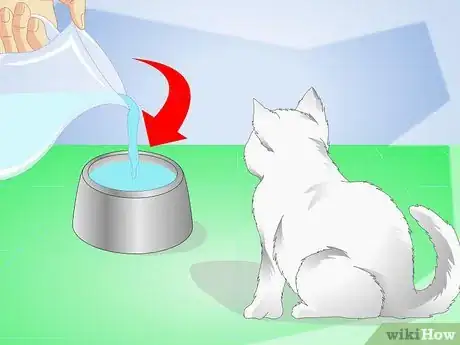 Image titled Get Your Kitten to Eat Step 13