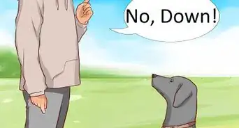 Tell Your Dog No