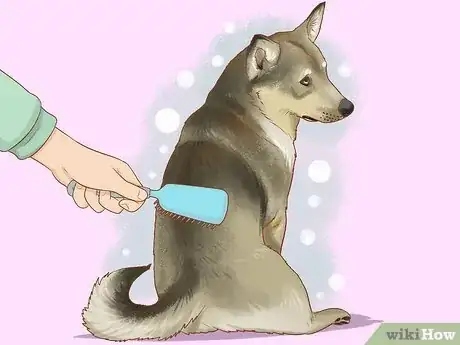 Image titled Stop a Dog with Short Hair from Shedding Step 1