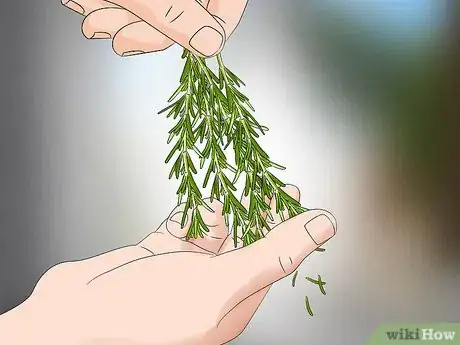 Image titled Prepare Rosemary for Hair Step 3