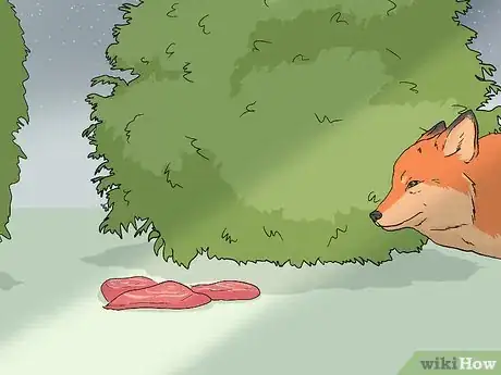 Image titled Attract Foxes Step 1