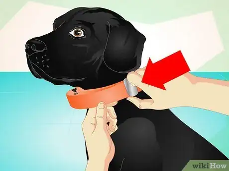 Image titled Use an Electronic Dog Training Collar Step 3