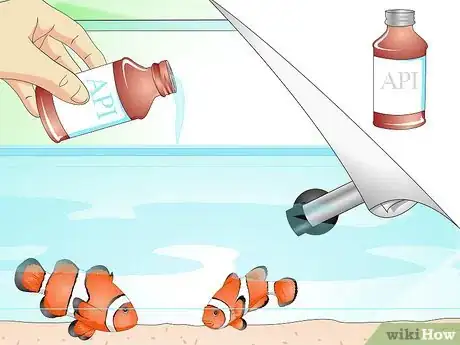 Image titled Tell if Your Fish Is Sick Step 16