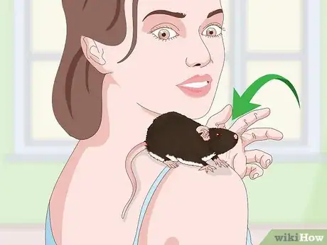 Image titled Keep a Pet Rat Happy by Itself Step 13