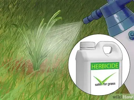 Image titled Get Rid of Weeds Without Killing Grass Step 6