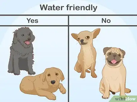 Image titled Safely Introduce Your Dog to Water Step 4