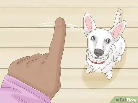 Image titled Get Your Dog to Lose 10 Pounds Step 10