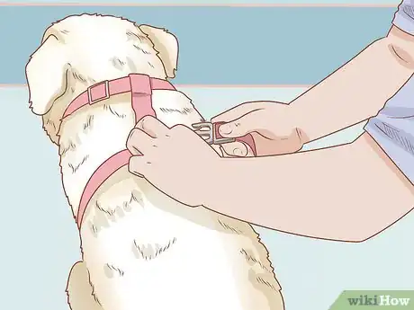 Image titled Put on a Dog Harness Step 12