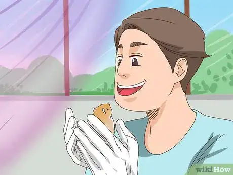 Image titled React when Your Gerbil Bites or Scratches Step 8