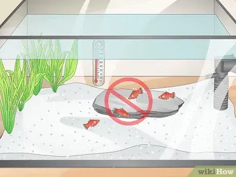 Image titled Set Up an Axolotl Tank Step 9