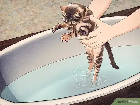 Image titled Shampoo a Kitten for Fleas Step 4