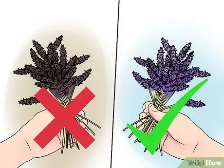 Image titled Make Essential Oils Step 11