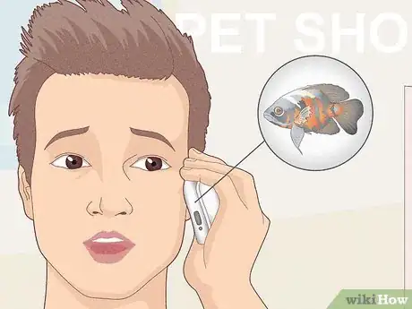 Image titled Dispose of Aquarium Fish Step 1