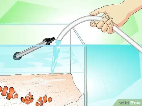 Image titled Tell if Your Fish Is Sick Step 19