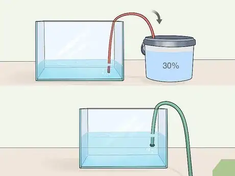 Image titled Care for African Clawed Frog Tadpoles Step 8