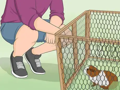 Image titled Make a Guinea Pig Run Step 16