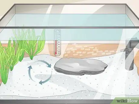 Image titled Set Up an Axolotl Tank Step 6