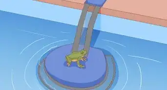 Keep Frogs Out of Pool