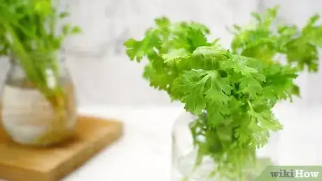 Image titled Keep Cilantro Fresh Step 17