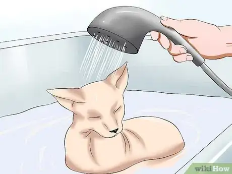 Image titled Bathe a Sphynx Cat Step 13