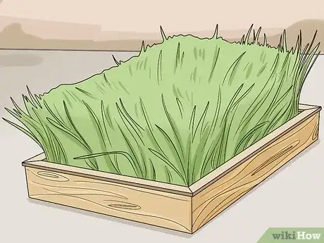 Image titled Grow Hay Step 1