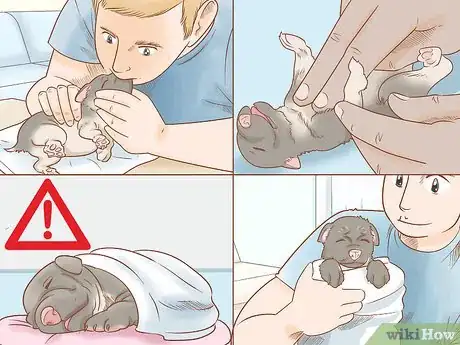 Image titled Revive a Puppy Step 11