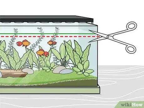 Image titled Grow Freshwater Aquarium Plants Step 12