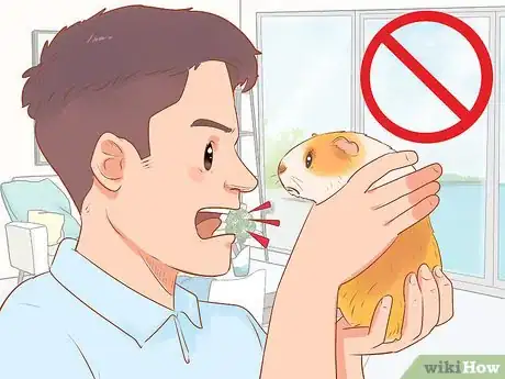 Image titled Bond With Your Guinea Pig Step 17