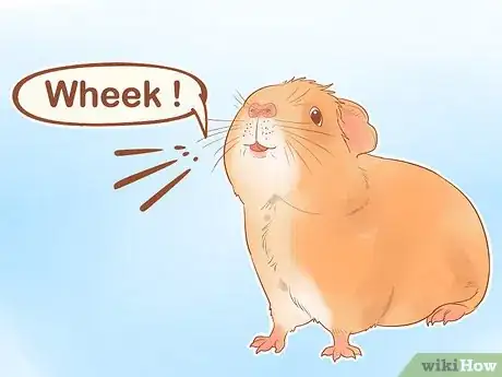 Image titled Understand Guinea Pig Language Step 1