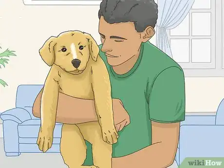 Image titled Get a Puppy to Stop Growling when You Pick Them Up Step 11