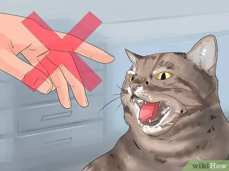 Image titled Get Your Cat to Stop Hissing Step 9