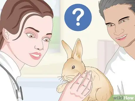 Image titled Determine Whether to Have Your Rabbit Neutered Step 5