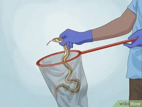 Image titled Catch a Garter Snake Step 14