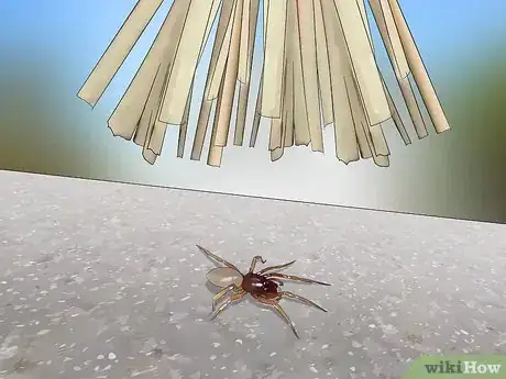 Image titled Catch a Spider Step 10