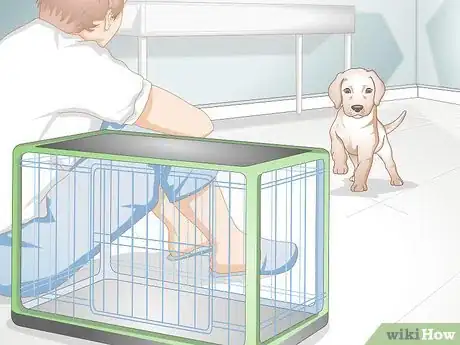 Image titled Get Your Puppy To Sleep in Its Own Bed Step 6