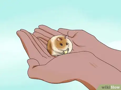 Image titled Handle a Hamster Without Being Bitten Step 4