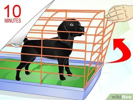 Image titled Raise a Dog Step 10