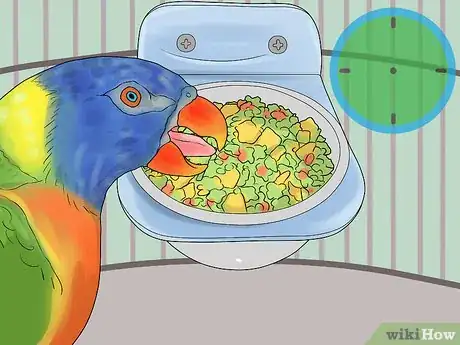 Image titled Feed a Lory or Lorikeet Step 6