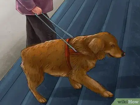 Image titled Help a Dog Overcome Its Fear of Stairs Step 7