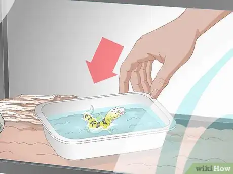 Image titled Bathe a Leopard Gecko Step 11