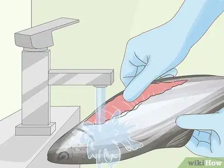 Image titled Clean a Fish Step 5