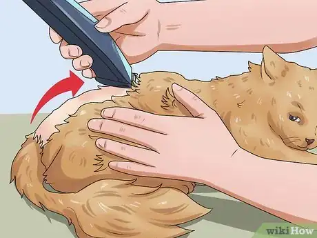 Image titled Shave a Cat Step 17