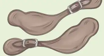 Choose the Correct Type of Spur for Horse Riding