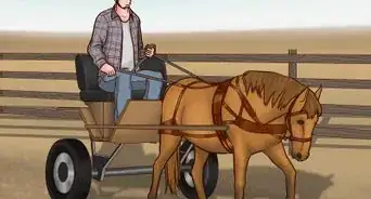 Train a Horse to Drive