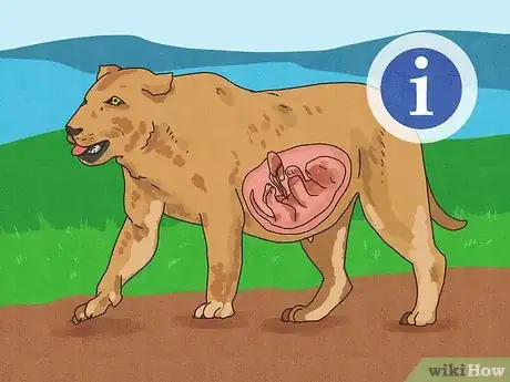 Image titled Answer Where Do Babies Come From Step 12