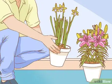 Image titled Protect Your Houseplants from Pets Step 3